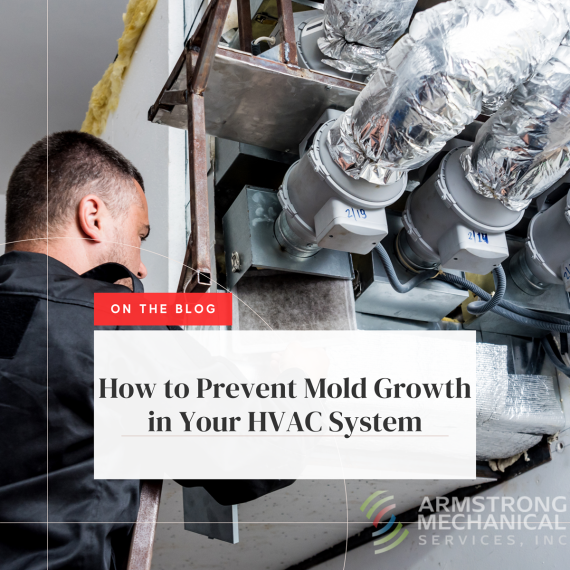 HVAC Mold Maintenance