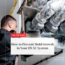 HVAC Mold Maintenance